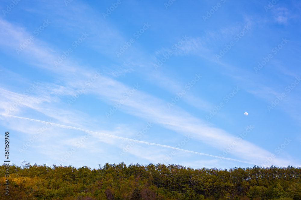 Obraz premium Blue Sky and Forest
