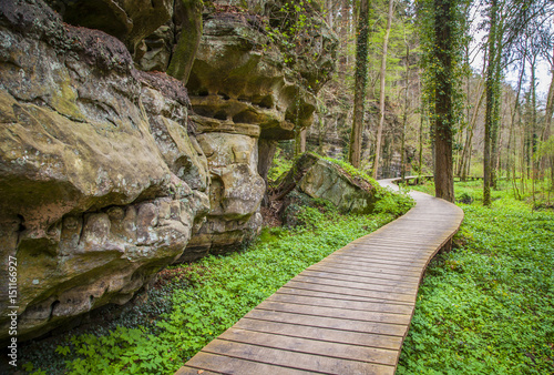 Mullerthal Trail Landscape   Petit Luxembourg Suisse Echternach  photo
