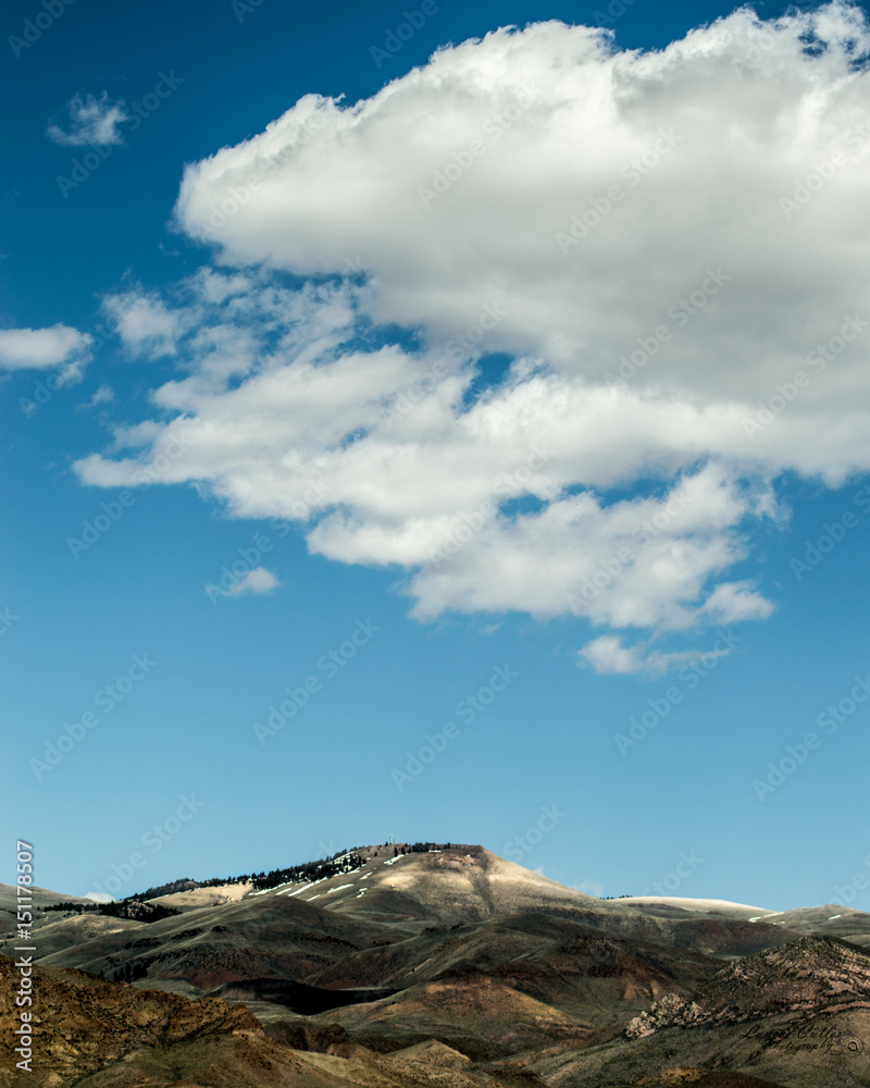 Fototapeta premium Idahome 