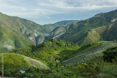 Valle campestre de miraflores, monagas, venezuela