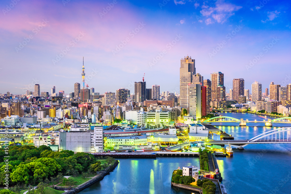 Fototapeta premium Tokyo, Japan Sumida River Skyline