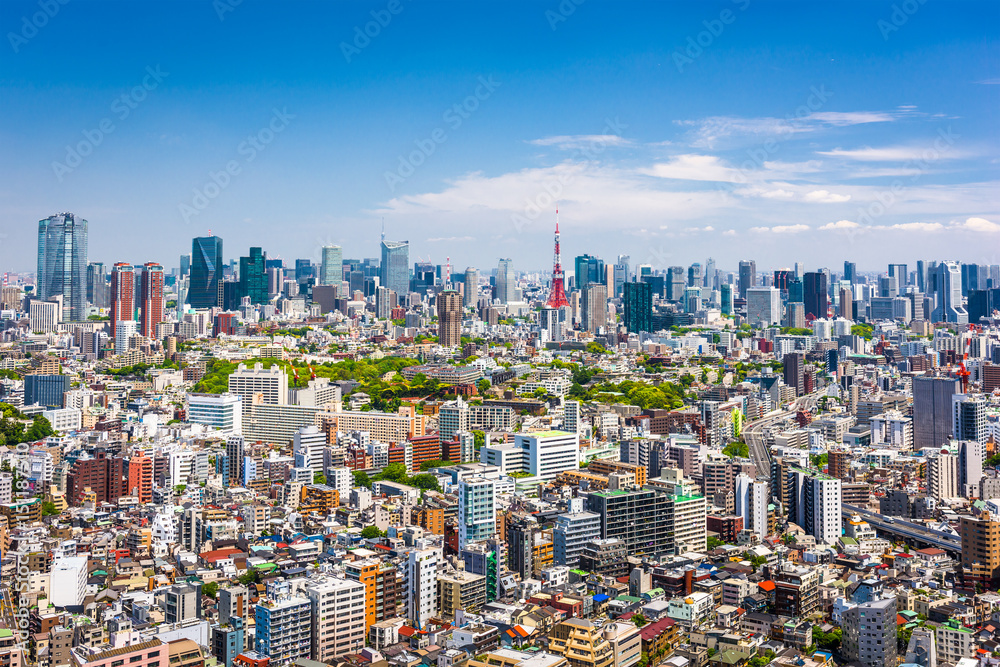 Obraz premium Tokyo Skyline