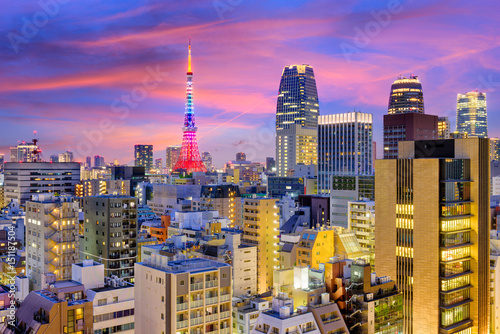 Photography Tokyo, Japan Skyline