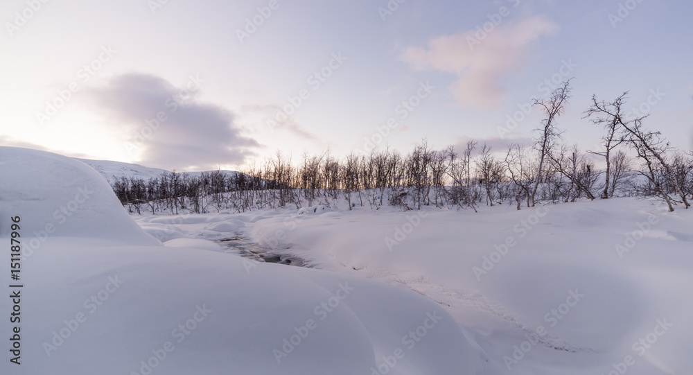 Fresh Snowfall Stream Northern Sweden