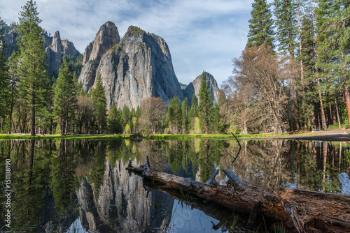 National Beauty