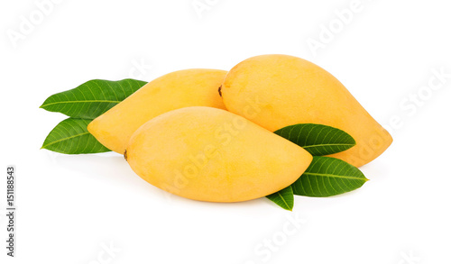 ripe mango with green leaf isolated on white background, Barracuda mango,  sweet mango Thai fruits.