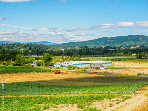 Farm field with vegetable crop recently planted