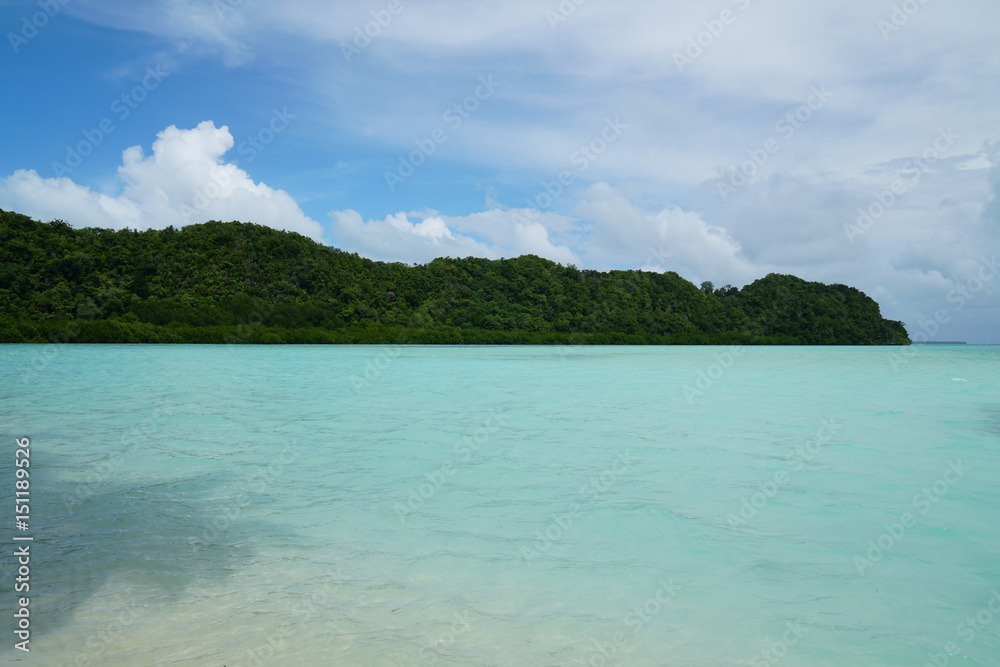 南国パラオの海 Tropical Palauan Sea