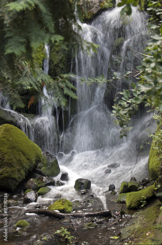 Arboretum waterfall
