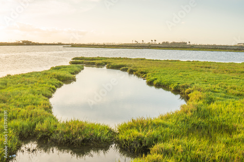 Bolsa Chica Wetlands, Huntington Beach in Southern California 