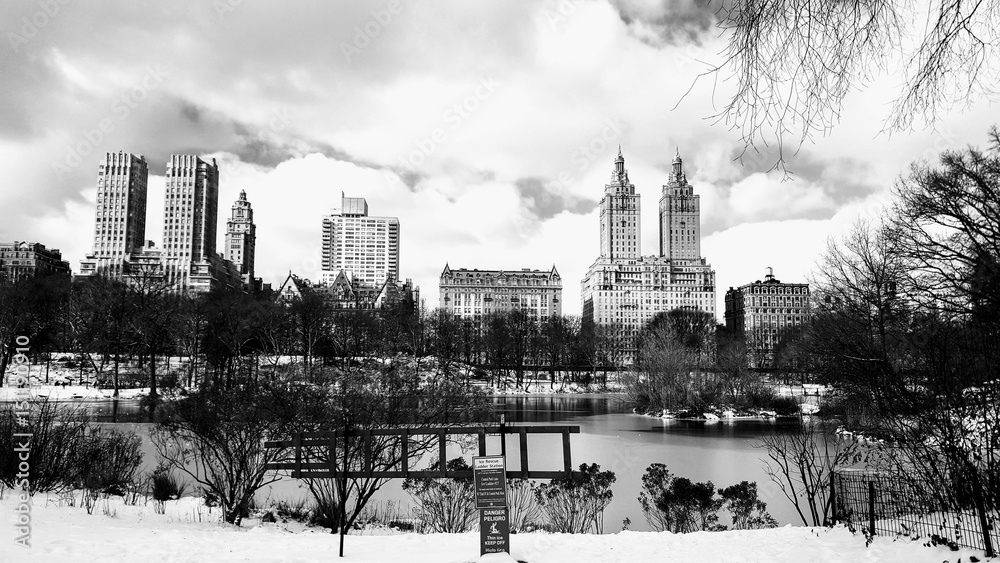 Fototapeta premium Central Park, New York winter