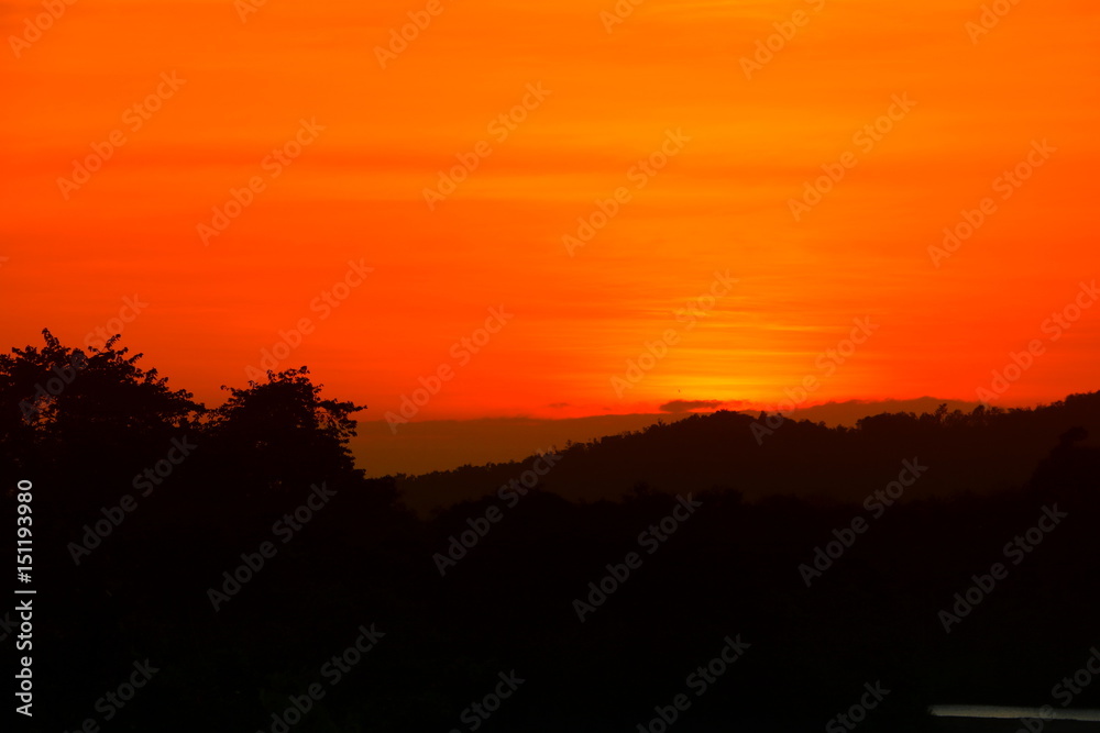 sunset beautiful and silhouette tree colorful landscape in sky twilight time
