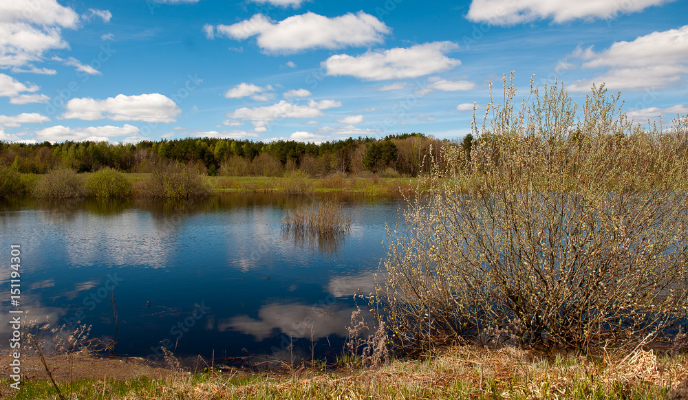 flood river of clouds spring