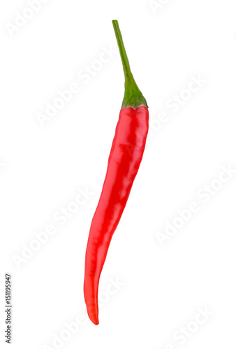 chilli isolated on white background © chayun