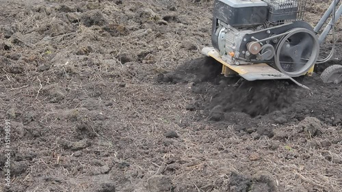 Wallpaper Mural The farmer cultivates the land with a cultivator. agriculture. mini tractor. In Russia Torontodigital.ca