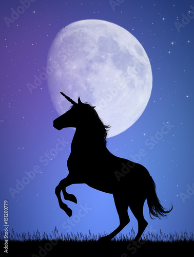 unicorn in the moonlight