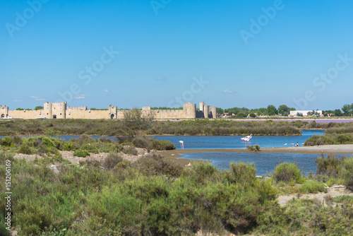 Aigues-Mortes, Salins du Midi, beautiful landscape with the city in background 