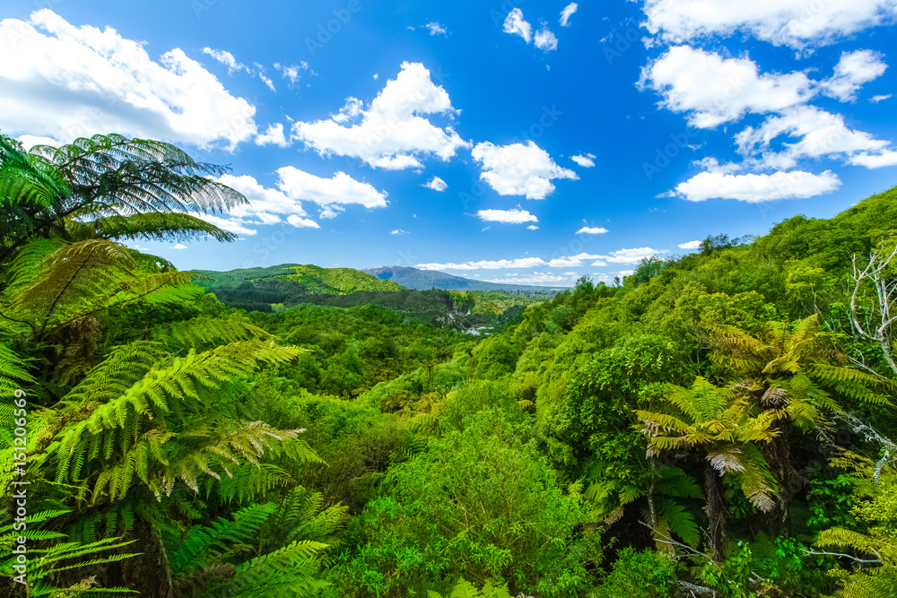 Waimangu Volcanic Valley in Neuseeland (New Zealand)