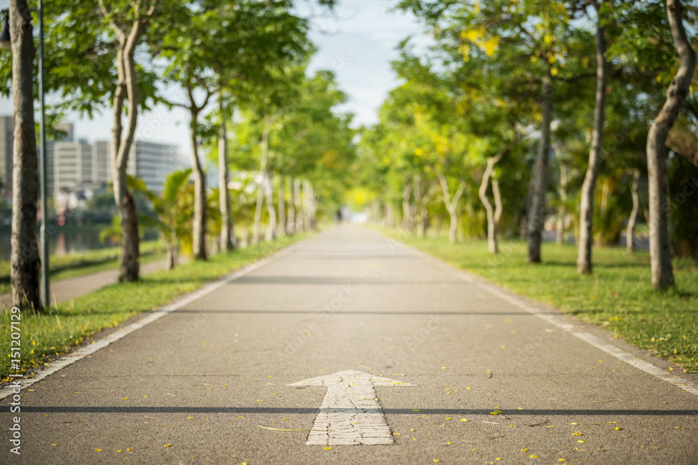 Arrow symbol for start at jogging track, Selective focus arrow symbol at the road in park