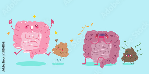 intestine with health concept