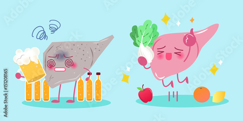 liver with health concept