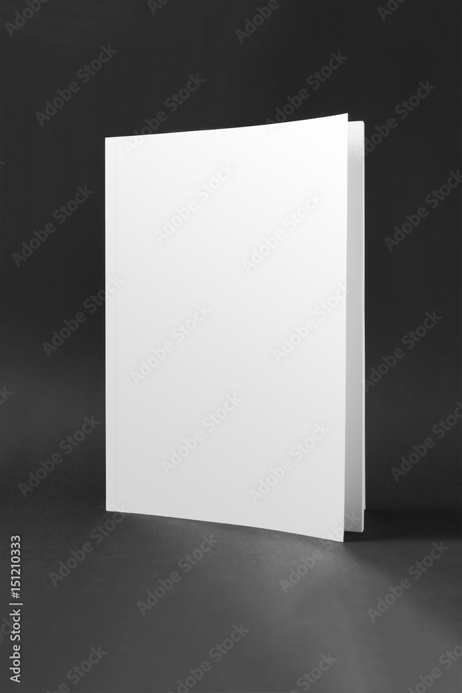 Obraz premium blank book cover mockup