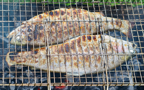 Fried trout on the grill