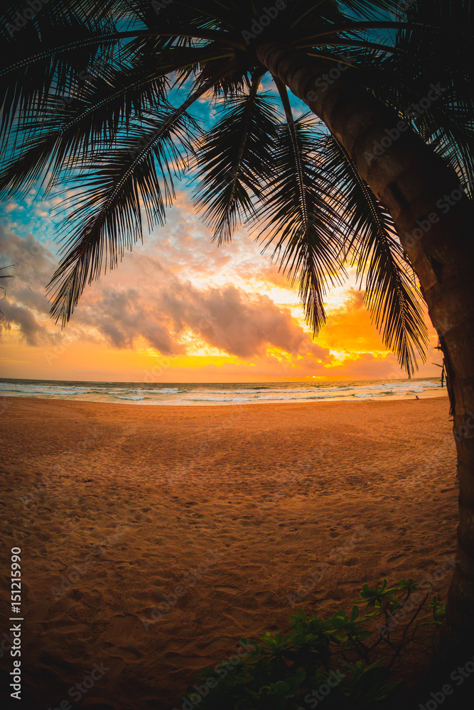 Sri Lanka sunset beach