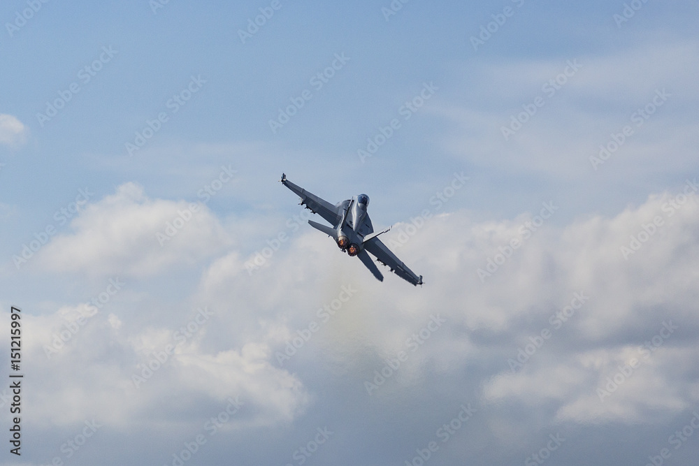 Boeing F/A-18E/F Super Hornet Boeing F/A-18E/F Super Hornet