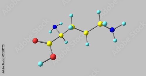 Ornithine molecular structure isolated on grey