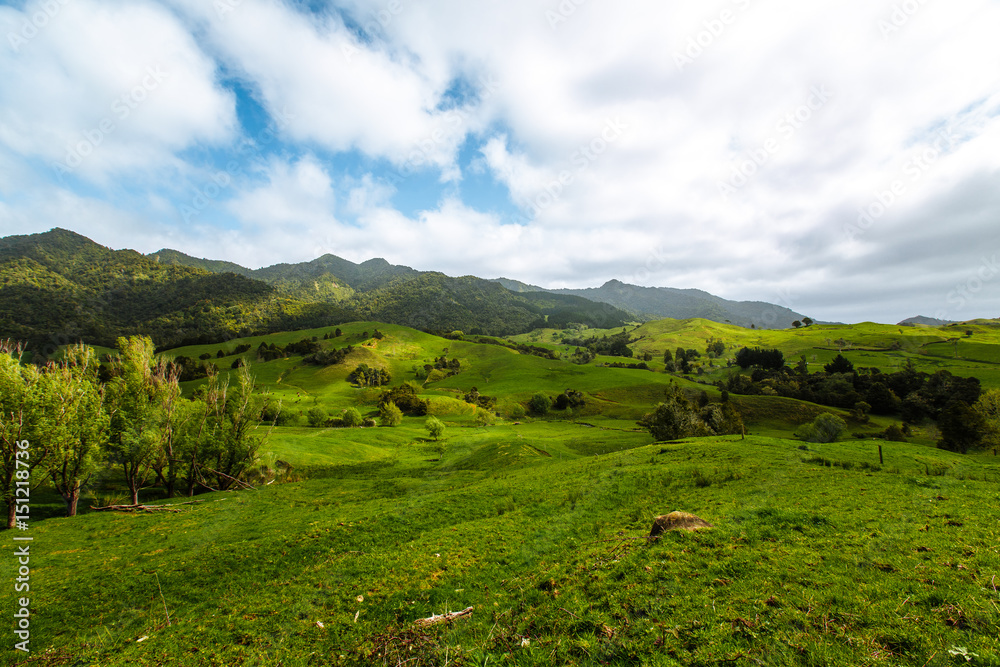 Naklejka premium Landschaft in Neuseeland (New Zealand)