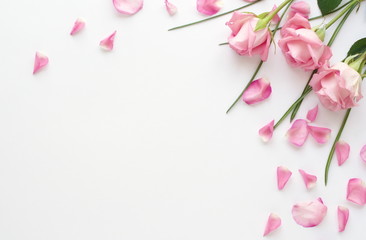 Flower arrangement of pink roses and petals on a white background.Holiday concept