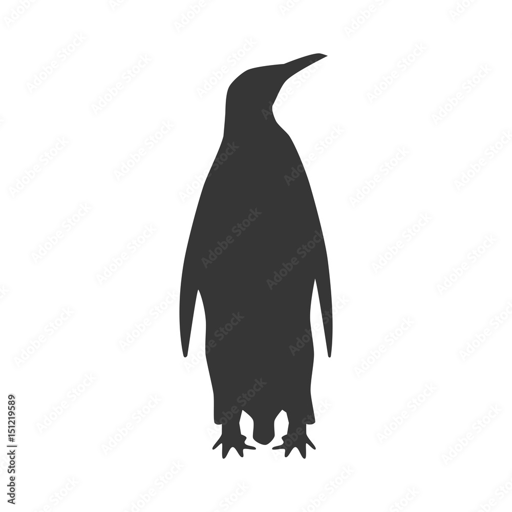 Obraz premium Penguin bird silhouette