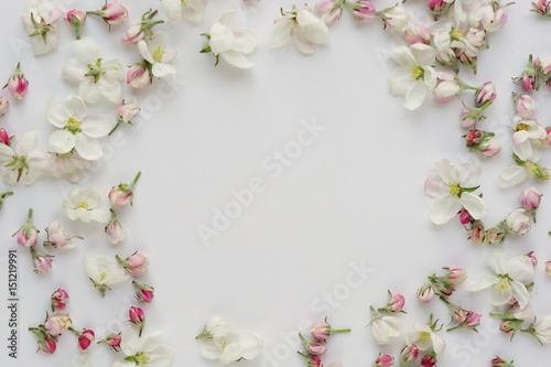 Floral frame from flowers of apple-tree on white background  
