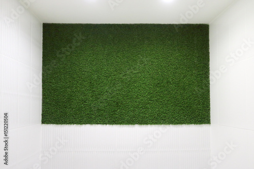 Green lawn on wall in white lit room - this is nature style decoration