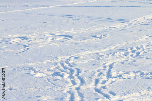 Many footprints are on white fresh snow at sunny winter frost day © singulyarra