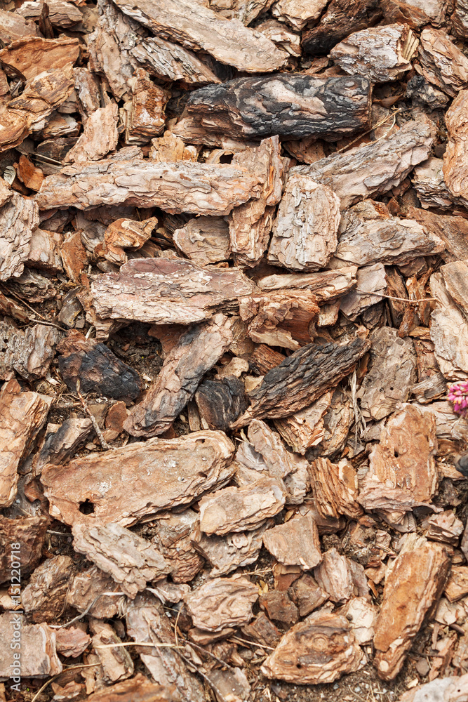 Crushed tree bark texture background closeup. Shredded brown tree bark for decoration and mulching or for playground. Crushed tree bark texture background closeup. Shredded brown tree bark for decoration and mulching or for playground.