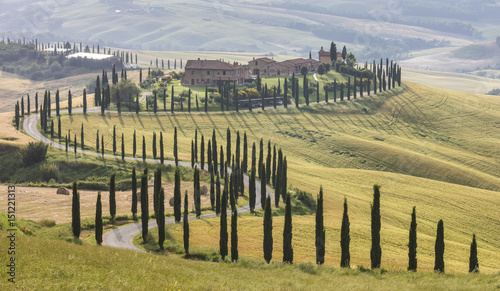 The road curves in the green hills surrounded by cypresses, Crete Senesi (Senese Clays), Province of Siena, Tuscany photo