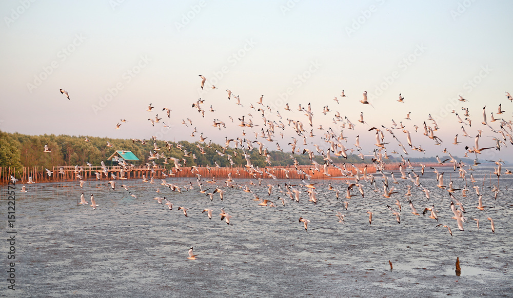 Naklejka premium Seagulls flying in the sky at sunset.