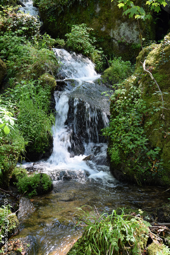 Fototapeta Naklejka Na Ścianę i Meble -  Gaishöll-Wasserfälle , Sasbachwalden