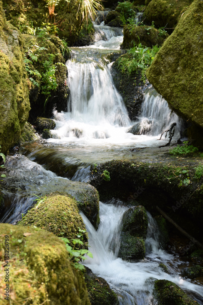 Gaishöll-Wasserfälle bei Sasbachwalden