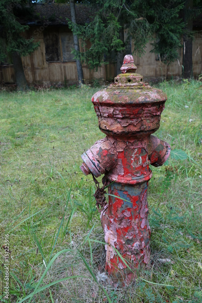 Fototapeta premium Hydrant