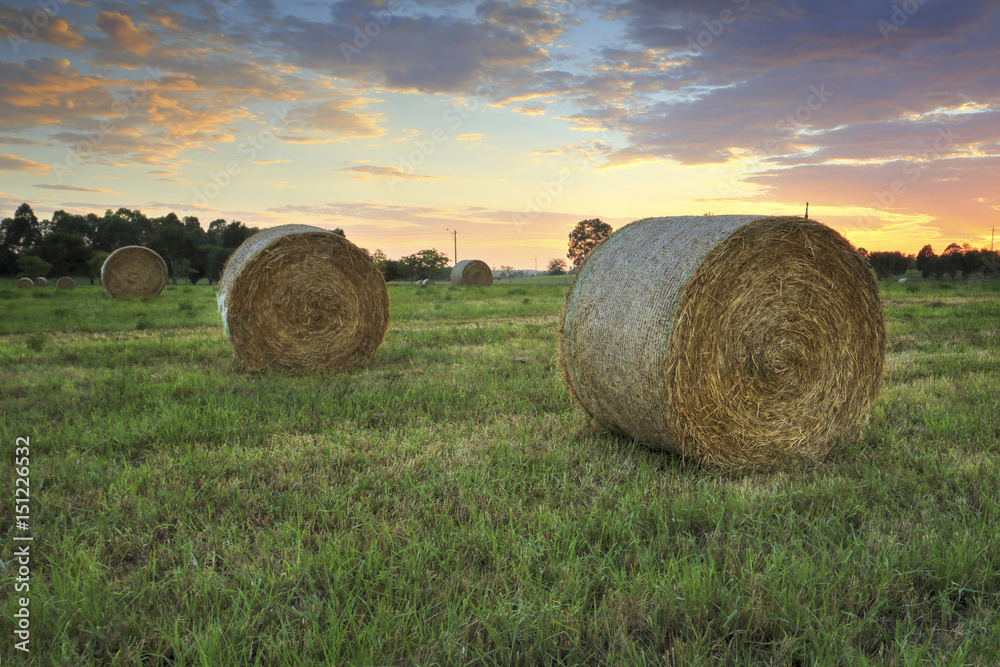 Hay bales in the Hawkesbury fields with a pretty sunrise sky behind