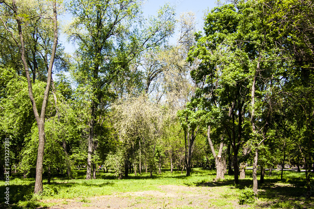 Park Park