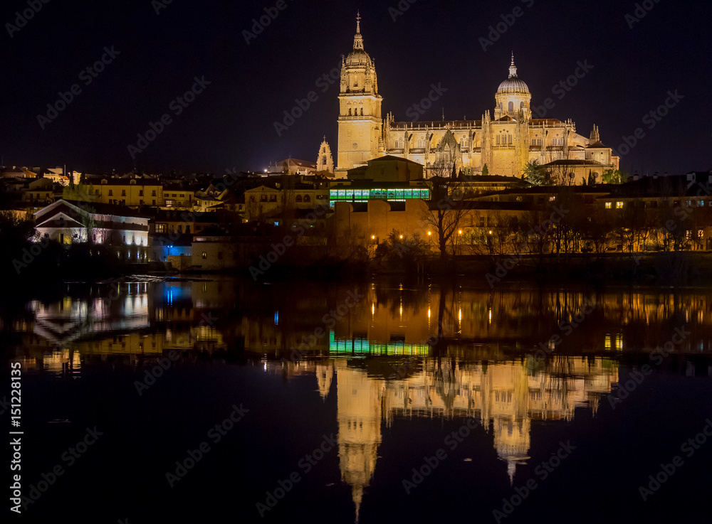 View of the cathedral of Salamanca reflected in the river at night, spain View of the cathedral of Salamanca reflected in the river at night, spain