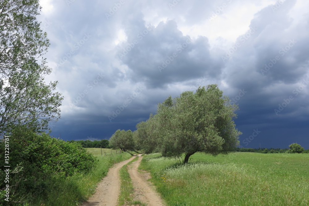 Temporale in arrivo