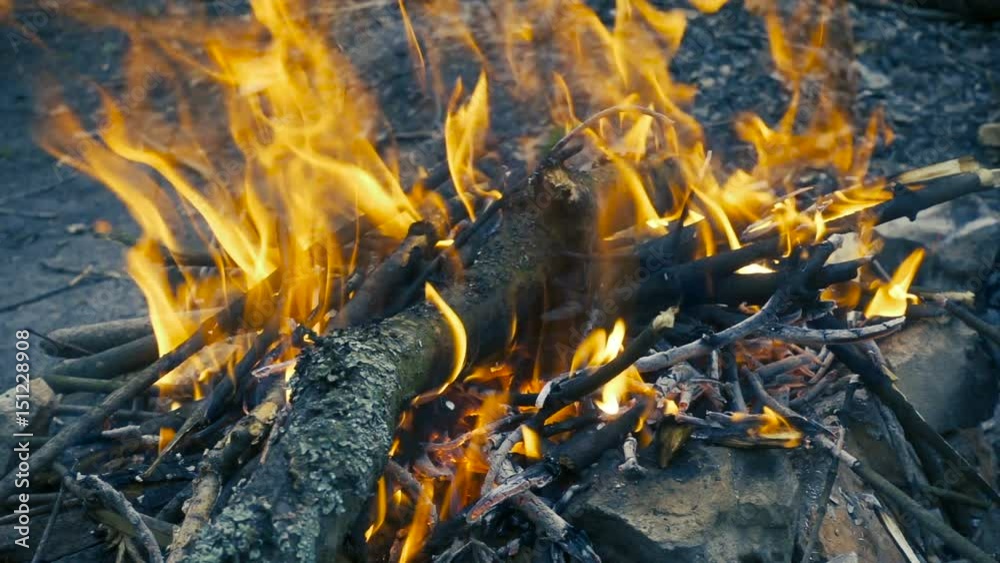 bonfire with burning log, slow motion bonfire with burning log, slow motion