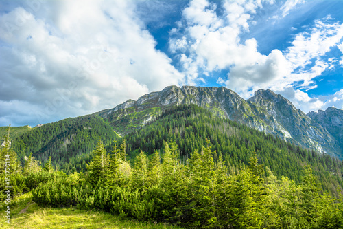 Fototapeta Naklejka Na Ścianę i Meble -  Landscape of mountains in spring, green forest and blue sky, Tatras, Carpathians, Poland