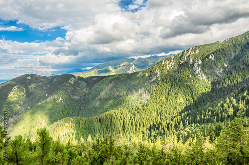 View of pine forest in mountains, landscape in the summer. Green forest in Tatra Mountains, Poland