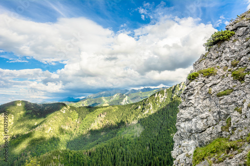 Panorama of mountains in Tatras, view of forest from top of mountain, summer, landscape, Poland © alicja neumiler